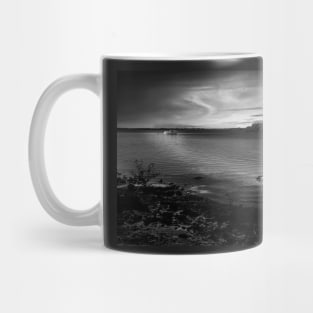 Pelicans at Sunset in Back and White Mug